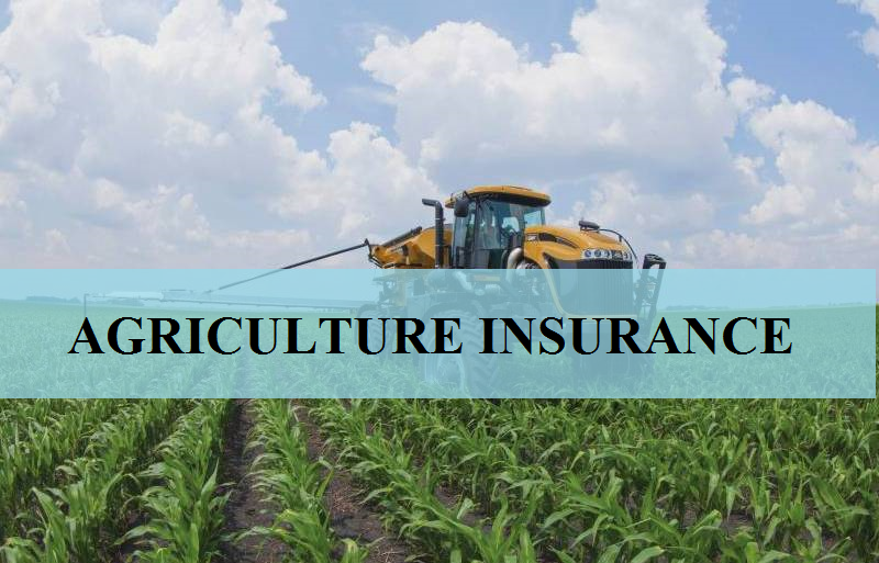 Best Insurance For Farmers